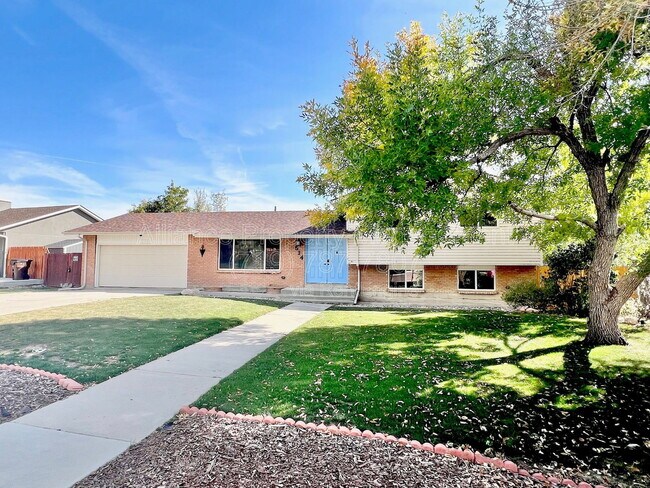514 Catalina Dr