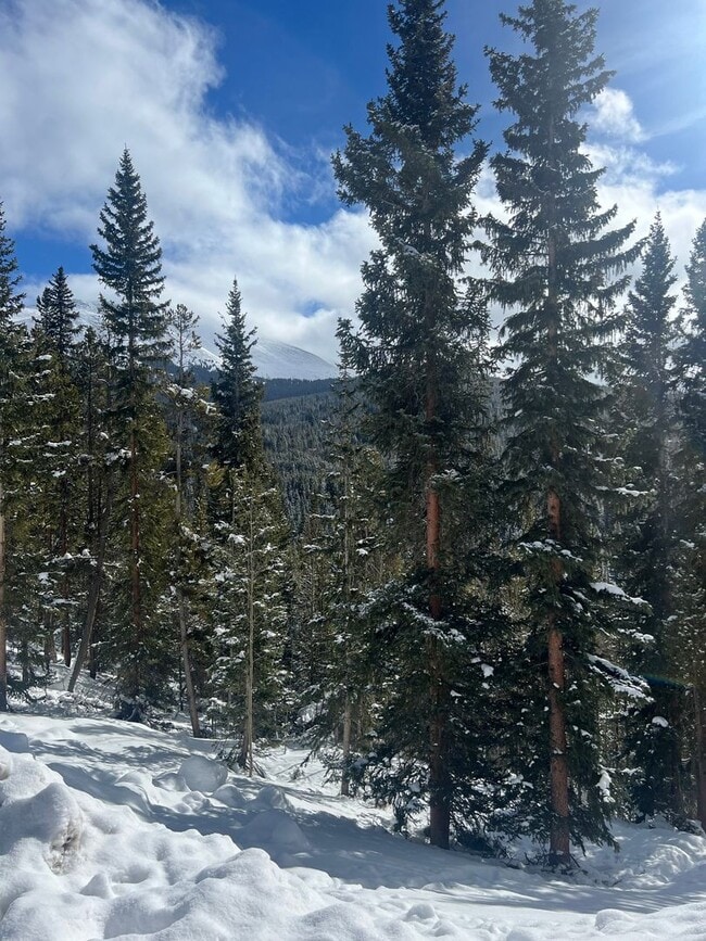 Photo - Gorgeous Lock-off on top of Mt Baldy, 2BD/2BA