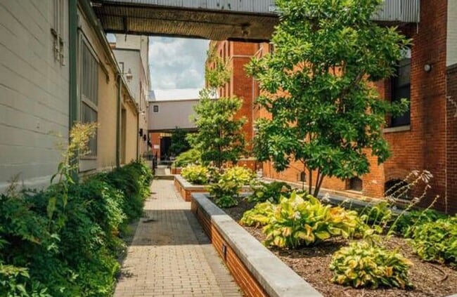 Photo - The Cameron Lofts