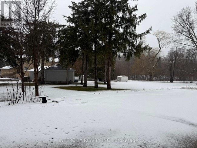 Photo - 117 Clarence St