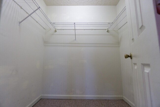 Photo - 3200 John Hinkle Pl