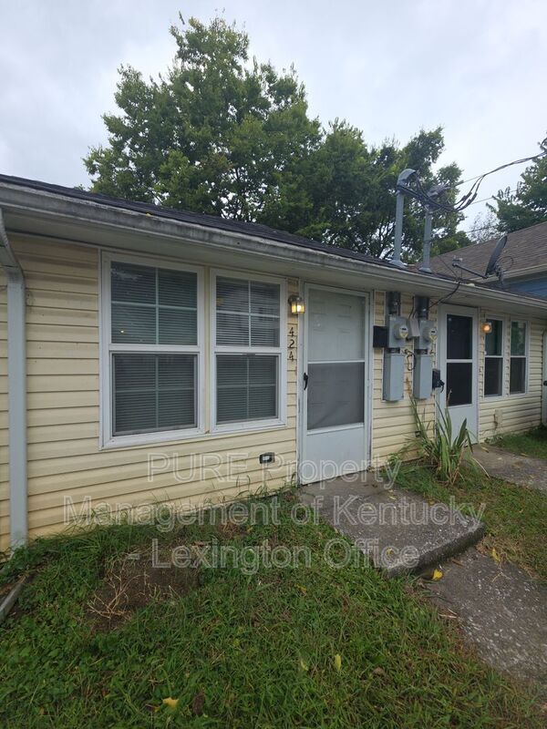 Building Photo - 424 E. Second Street Rental