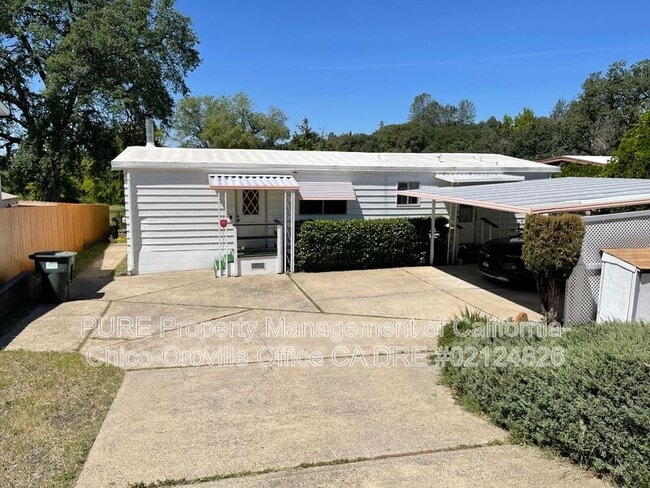 Building Photo - 533 Silver Leaf Dr