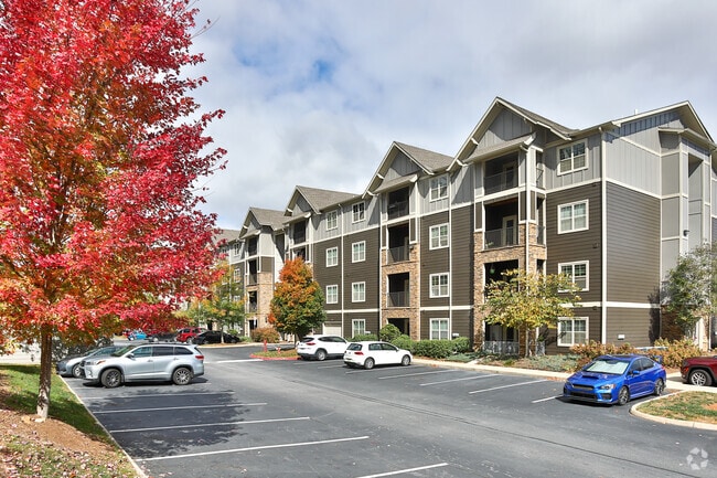 The Aventine Asheville