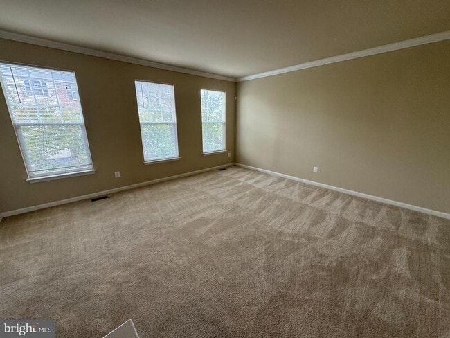 Photo - 105 Domino Ct