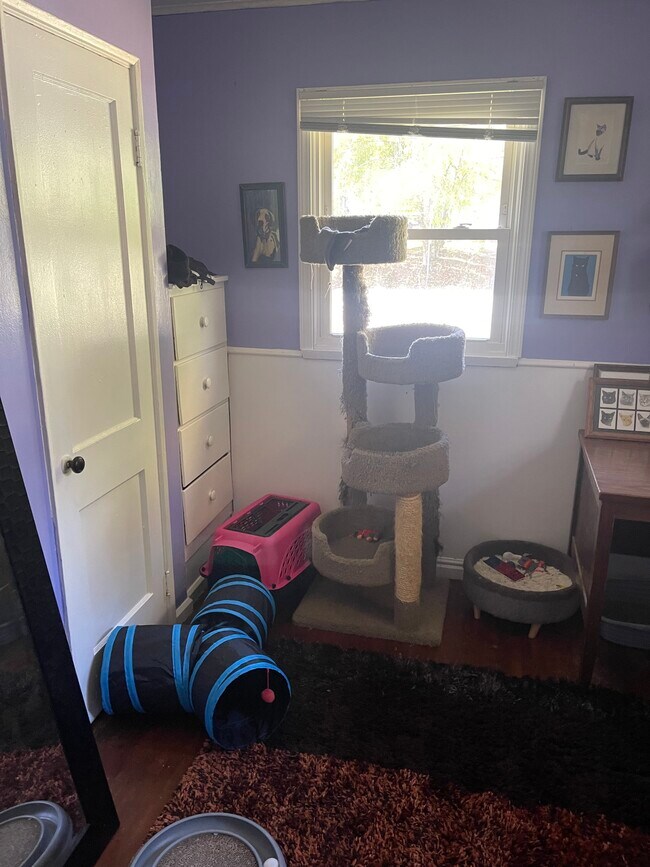 Photo - 813 S Mitchell St