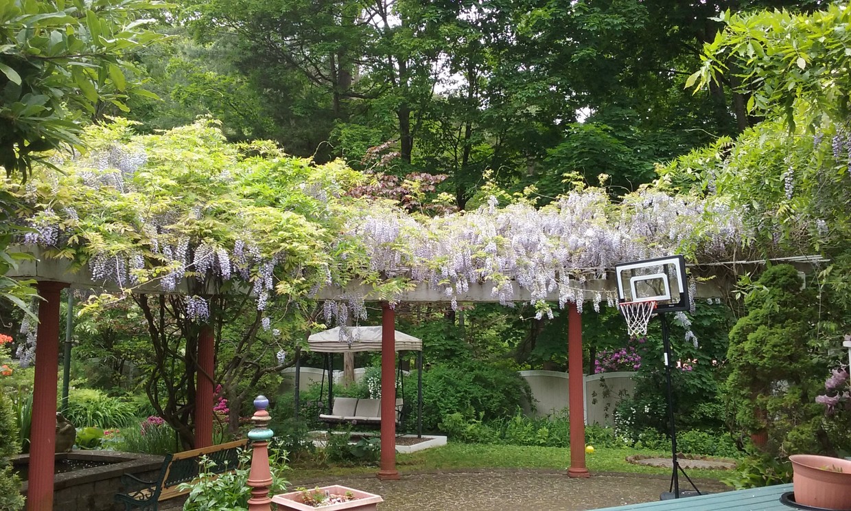 Patio - 7 Linden Pl (Vernon, CT)