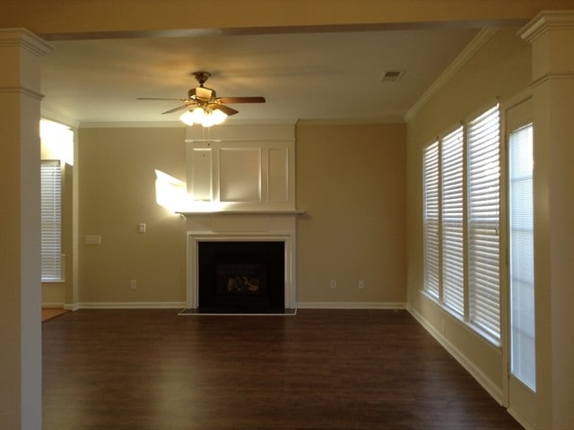 Photo - 10711 Norway Spruce Ct