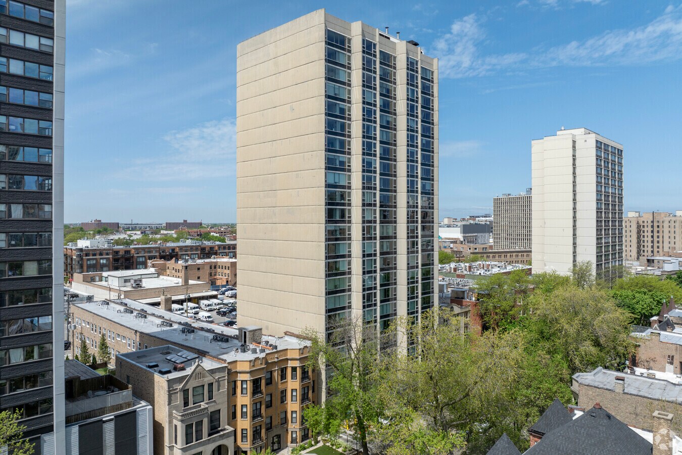 Primary - The Hampden Green