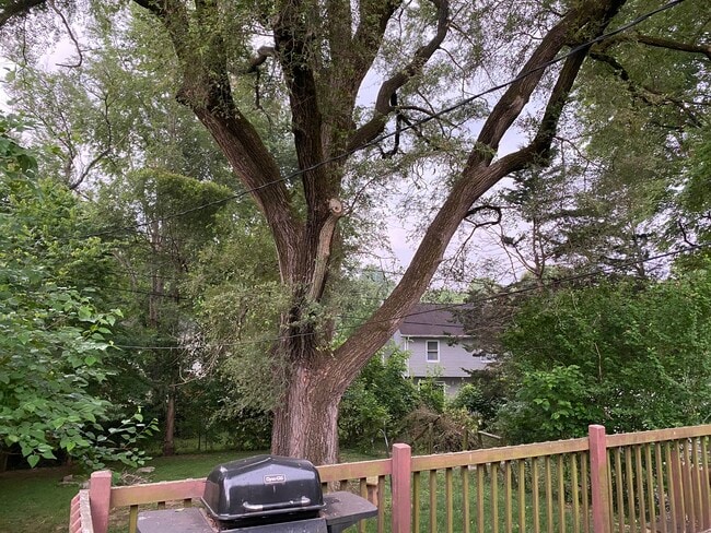 Photo - 655 W Ladd Ave