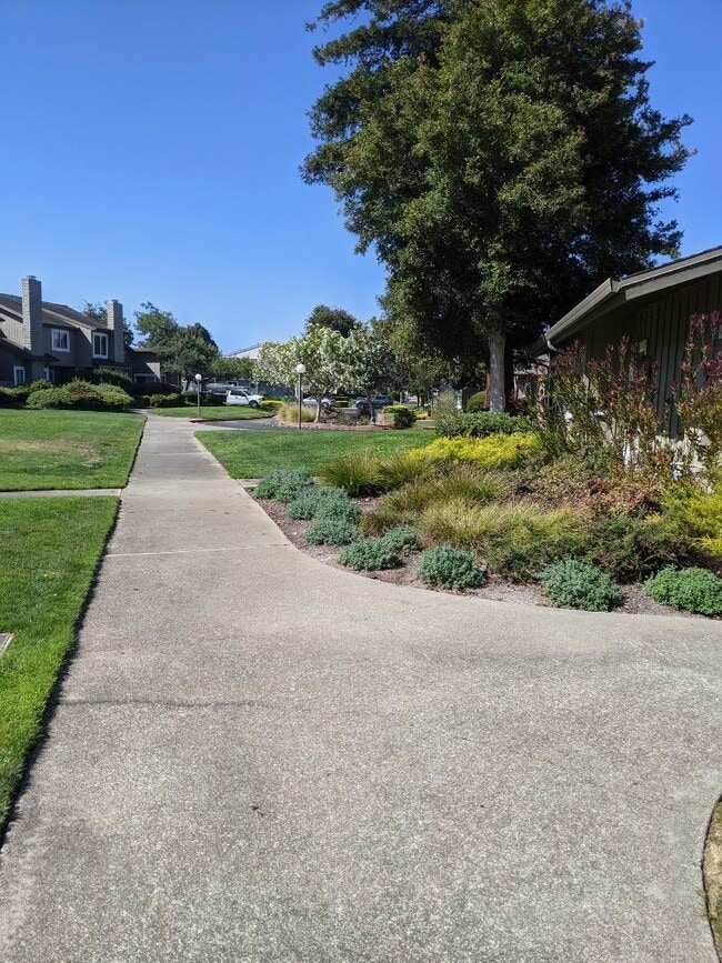 Photo - 1041 Grebe St