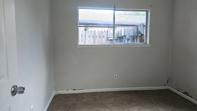 Photo - 8710 Parkway Forest Dr