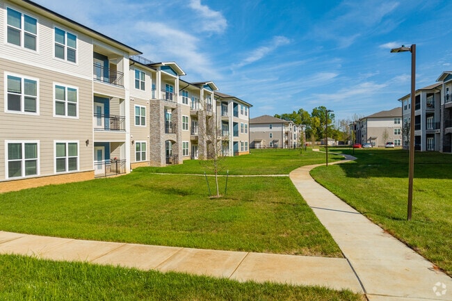 Lone Oak Meadows - Lone Oak Meadows