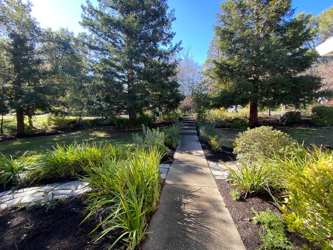 Front Entrance Walkway - 1828 Ivanhoe Ave