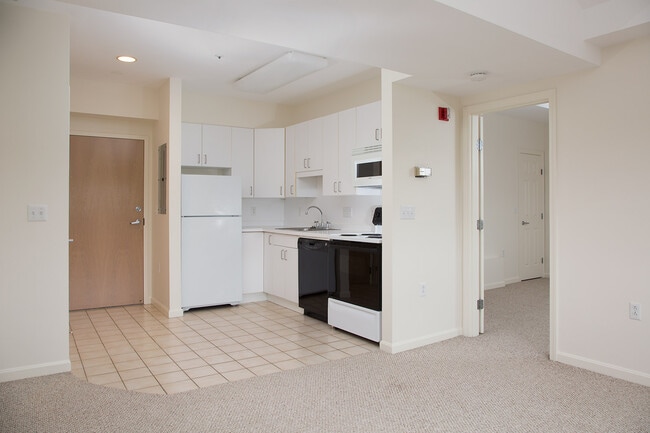 Vinyl Plank Flooring in the Living Room