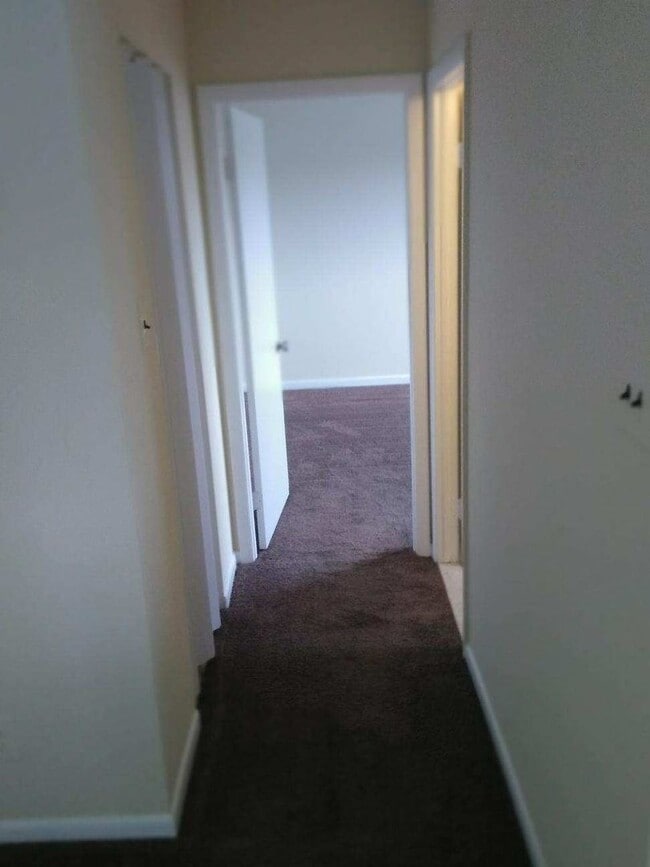 Photo - 4910 Walnut St Unit 3FL