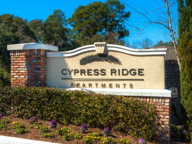 Cypress Ridge Apartments - Cypress Ridge Apartments