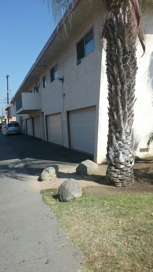 Photo - Canfield Park