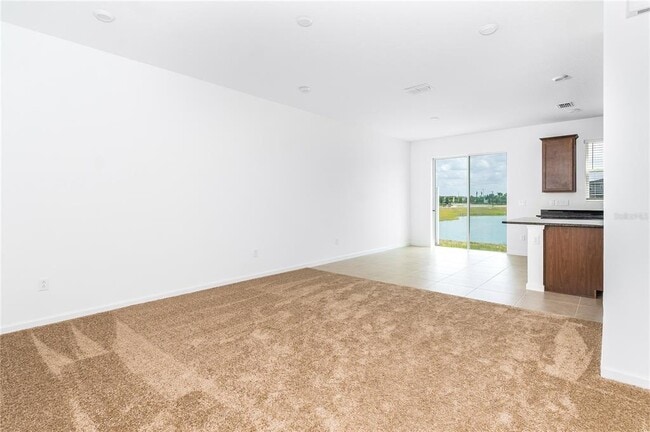 Photo - 987 Spring Palms Lp