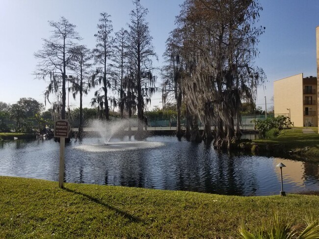 Photo - Tampa Racquet Club!