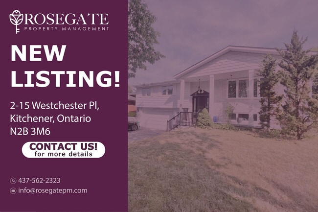 Building Photo - Bright 1-Bedroom Basement Unit 2