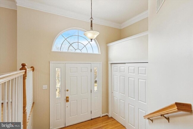 Photo - 172 Fringetree Dr