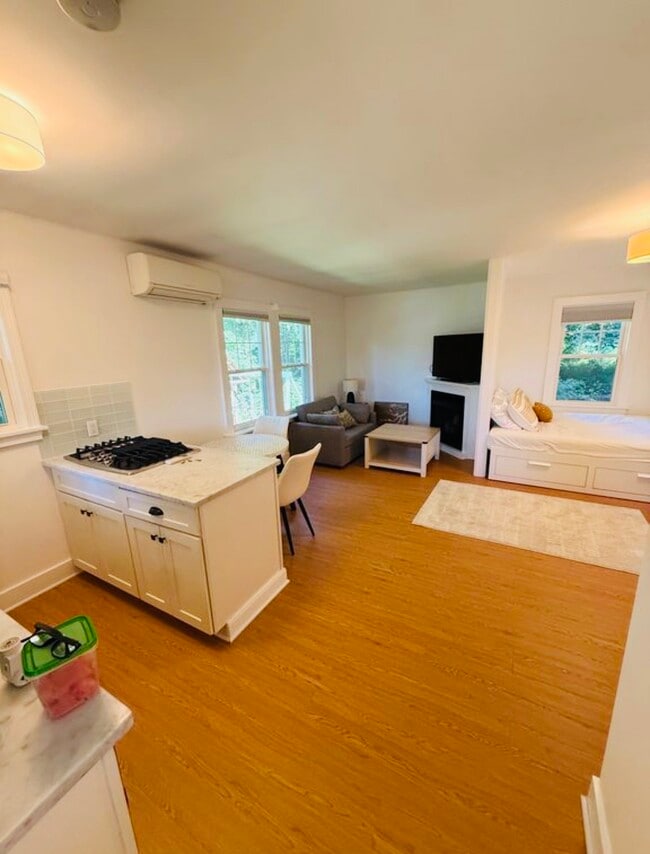 Photo - 23 Spring St S