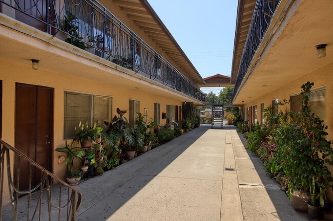 Walnut Apts