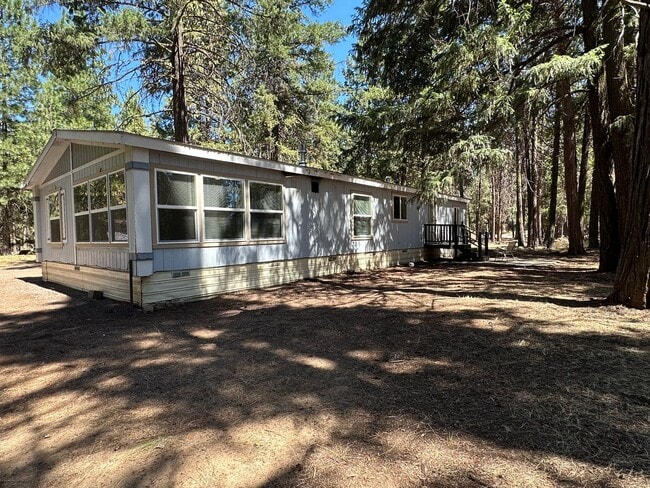 Photo - 18406 Freight Rd Ln