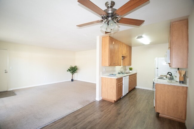 Photo - Gold Coast Apartments