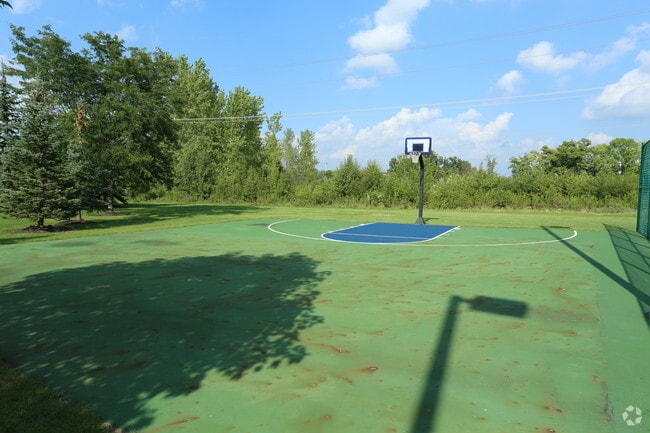 Basketball Court
