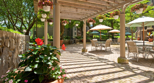 Outdoor Courtyard - PeachTree of McLean Apartments