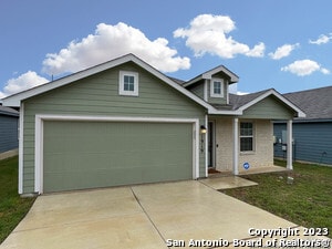 Photo - 1919 Fieldfare