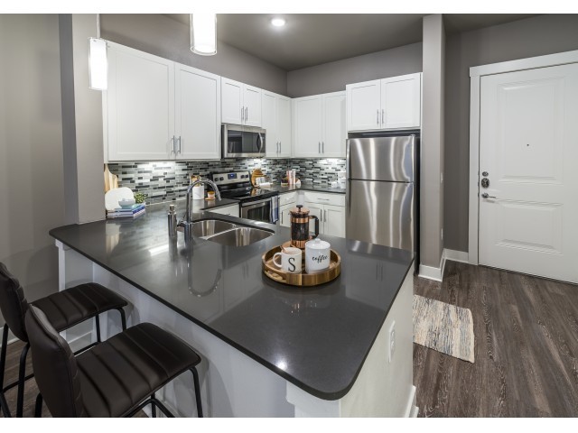 Large Gourmet Kitchen