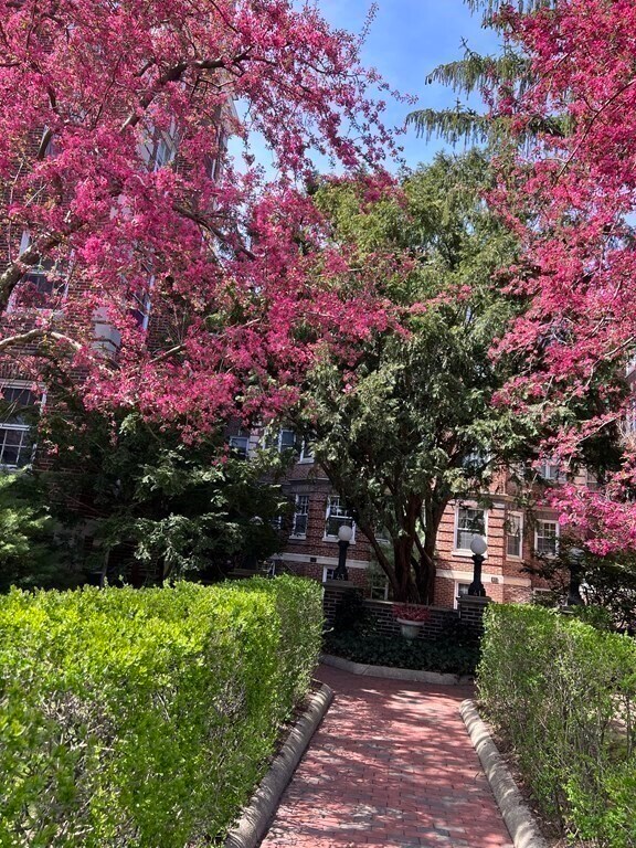 Photo - 41 Linnaean St Unit 36
