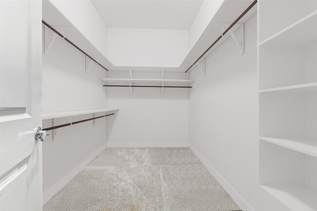 Photo - 12025 Royal Oaks Run Dr