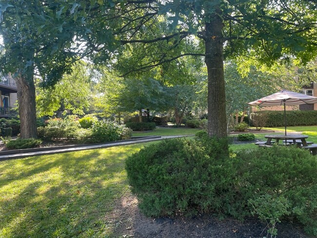Sycamore Gardens