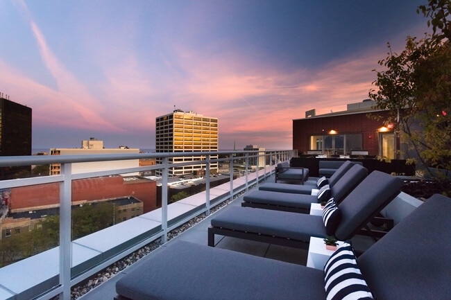 Loungers on Rooftop Deck
