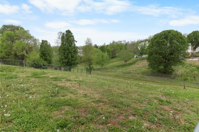 Photo - 934 Hedge Apple Dr