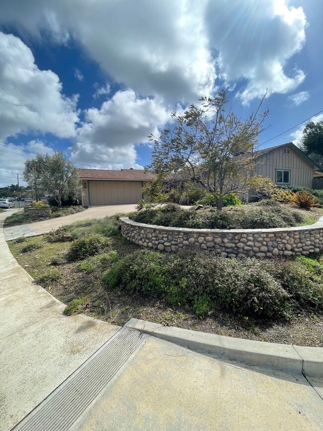 Building Photo - Clairemont Beauty - Welcome Home!