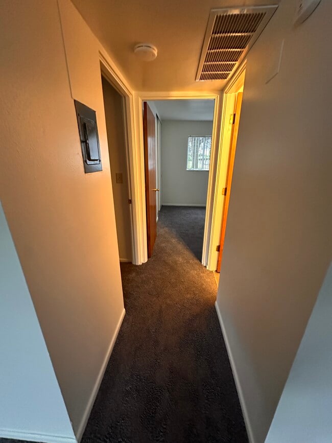 Starliter Apartments