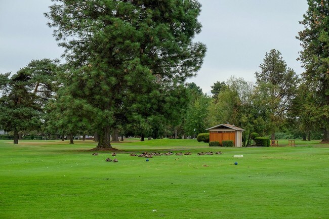 Photo - Meadowlawn Apartments