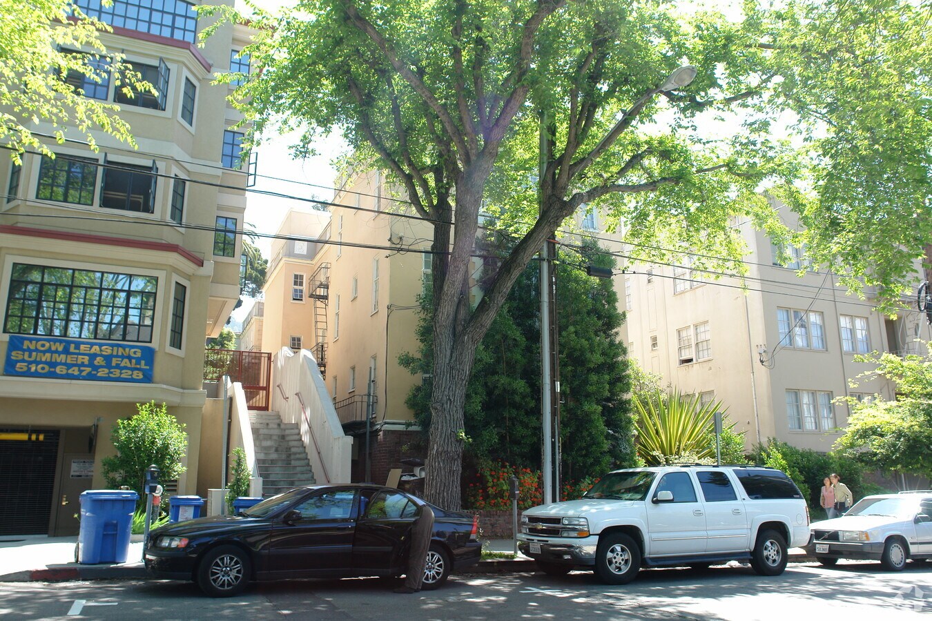 Photo - Toyon Court