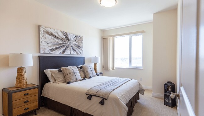 Photo - William's Court D & G