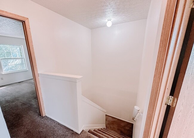 Our Townhomes Get Lots of Natural Light
