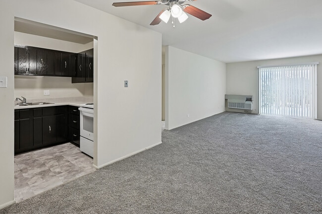 Photo - ReNew Lake Arlington