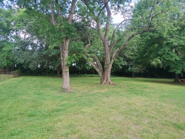 Park-like backyard