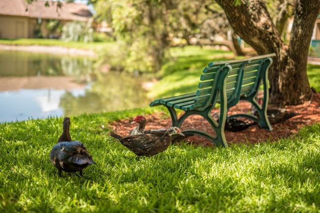 Photo - Sunscape Apartment Homes