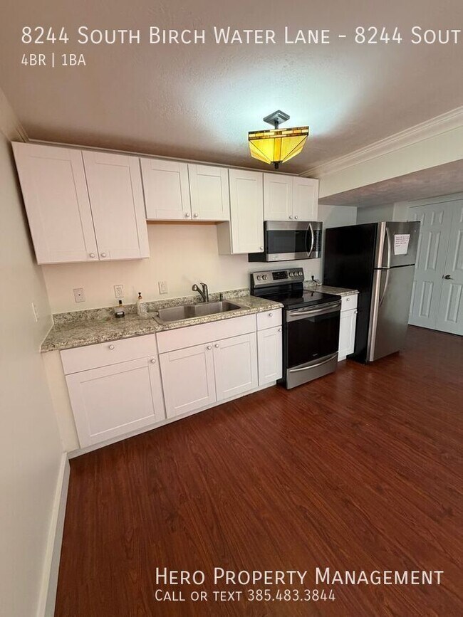 Photo - 8244 Birch Water Ln Unit 8244 South Birch Water Lane (Basement)