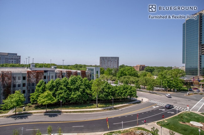 Photo - 4900 Seminary Rd Unit FL5-ID671